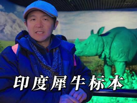 印度犀牛标本~ #北京动物园 #犀牛角 #生态保护