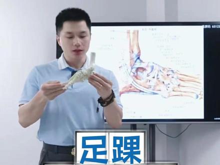 足踝生物力学 #足踝 #解剖
