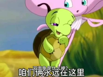 双面龟是什么梗?#双面龟