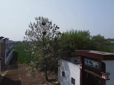 偃师区司马懿宣王冢航拍 #邙山陵墓群 #历史人物 #司马懿 司马懿的墓“高原陵”,即今天河南洛阳偃师区境。公元251年,司马懿葬于首阳山。据《晋书·宣帝本纪》载:“先是,预作终制,于首阳山为土藏……”郭坟村的西面,有一个高大的土冢,当地人称为宣王冢,而宣王就是司马懿,司马懿(179-251)即晋宣帝,字仲达,河内温人。三国时期魏国杰出的政治家、军事家,西晋王朝的奠基人。曾任职过曹魏的大都督,太尉,太傅。是辅佐了魏国三代的托孤辅政之重臣,后期成为全权掌控魏国朝政的权臣。平生最显著的功绩是多次亲率大军成功对抗诸葛亮的北伐。 死后谥号舞阳宣文侯,次子司马昭被封晋王后,追封懿为宣王。当然后来晋武帝即位以后又追封为宣帝,葬于高原陵。不管这座土冢是不是真的司马懿高原陵,根据史料记载,司马懿去世以后,有可能会祔葬于曹魏帝陵,是作为曹魏的大臣陪葬曹魏皇帝的。他最有可能陪葬的无疑就是首阳陵了,所以宣王冢这个名字也不会突兀的出现。#航拍 #三国