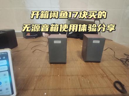 开箱闲鱼17块买的无源音箱使用体验分享#开箱 #闲鱼 #无源音箱