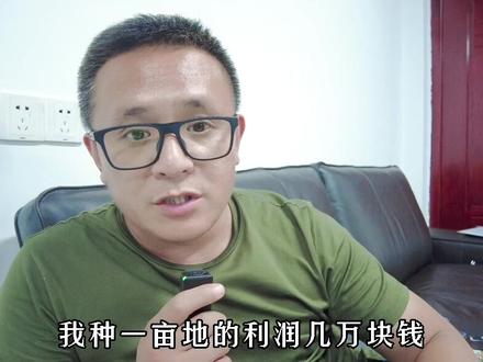 粮食单产利润小,到可能不比经济作物赚的少且稳定!#新农人 #经验分享 #现代化农业 #种地赚钱 #新农人计划2021 #规模化农业