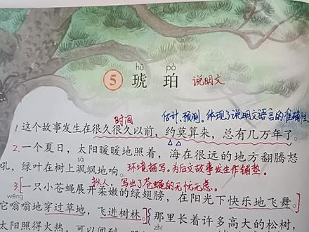 四年级语文下册:5《琥珀》课文详细讲解,琥珀是怎样形成的呢?