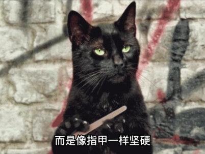 猫为啥不怕鱼刺? #科学视宴 #猫 #鱼刺 #科普一下