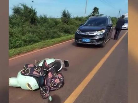 一老人遭排蜂围攻 警民联手助其脱险