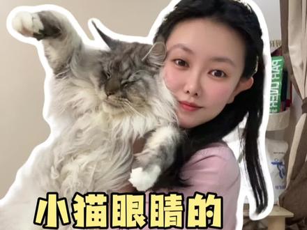 小猫眼睛的常见6种情况#养猫新手 #养猫人 #养宠进阶指南 #萌宠出道计划 #这是我一手养大的猫