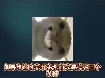 哈夫币如何变现?一期视频教会你!#三角洲行动#哈夫币#暗区突围手游#鱼鱼商行#创作者扶持计划