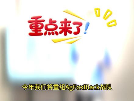 回望2025!展望2026!新的目标,重新启航!#银狐计划 #AgFox #agfox战斗服
