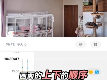 小米摄像机4双摄版画面有一个小问题,官方软件更新下次能不能帮助修正? #小米 #摄像机 #小米摄像机4 @小米公司