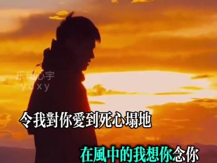 《风雨中的诺言》年轻的时候,可以为爱不顾一切,人到中年那些允诺的誓言都已经渐渐走远了,重要的事已不在以前那个时间!都已经不重要了!