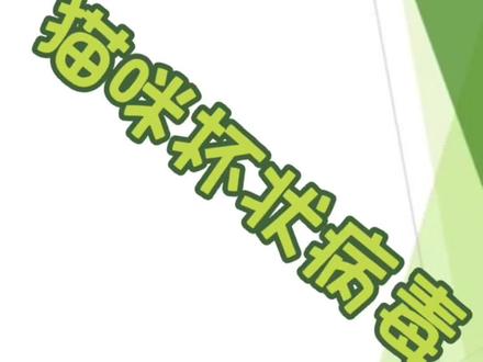 你不知道的猫咪杯状症状表现#科学养宠攻略 #抖音宠物医生 #养猫经验分享 #猫咪杯状病毒