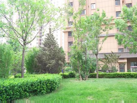 初遇元兽卡 地龙兽VS神炎骑士龙 三宝超元绝战