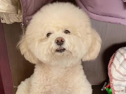 串串儿的龅牙越发明显了小时候也没发现是地包天啊