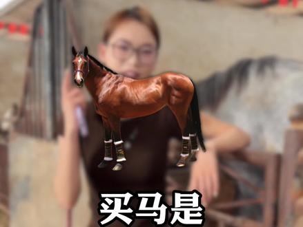 买马千万别贪小便宜#骑乘大马#源头养马场#野骑#半血马#改良马