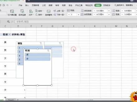 切片器操作方法#excel函数 #excel技巧 #excel教程 #excel教学 #函数