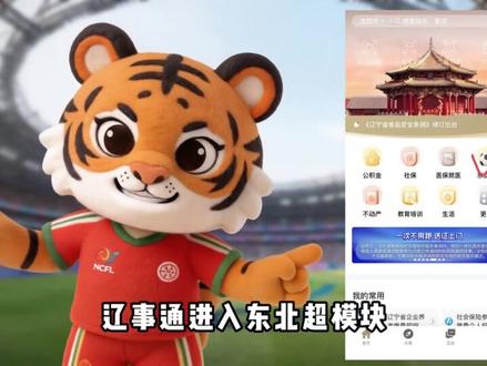 大家都在找的东北超辽宁赛区购票方式来啦!#东北地区城市足球联赛 #东北超 #足球