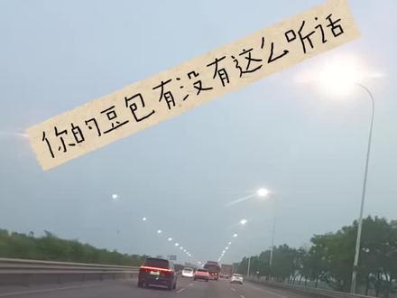 你的豆包会说你的家乡话吗?#豆包骂高市早苗