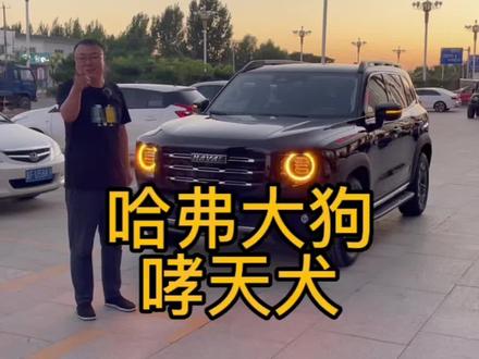 哈弗大狗哮天犬,国产拓界SUV的代表之作!不管你认不认,国产车已然崛起!#哈弗大狗 #支持国产 #保定二手车 #同城优先推荐 #二手车值得买