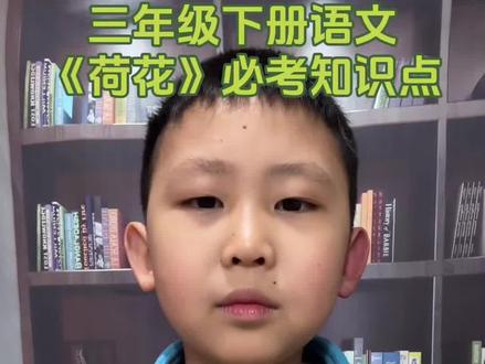 三年级下册语文《荷花》必背知识点#陪娃学习 #亲子教育 #小学语文 #每天学习一点点 #家长必读