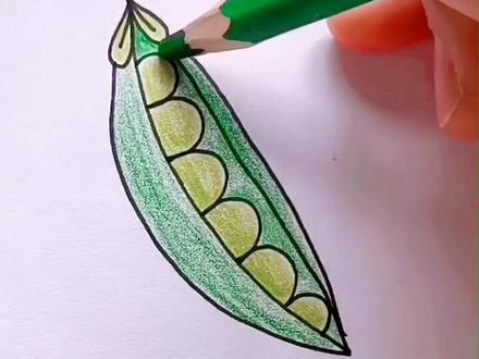 1333画豌豆~这时候新鲜的豌豆上市了,煮一下吃好香甜呀~你们喜欢吗@抖音小助手 #简笔画 #豌豆