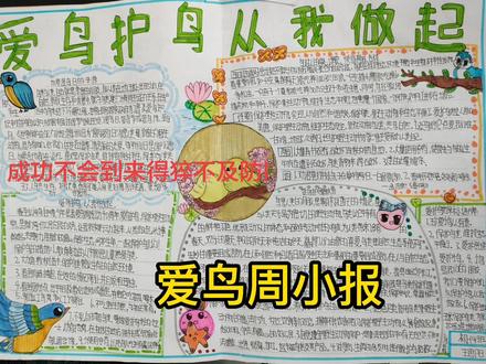爱鸟周初一同学们办的小报, 书画,让同学们形成爱鸟护鸟意识。让大家知道鸟是人类的朋友。#爱鸟护鸟 #记录生活