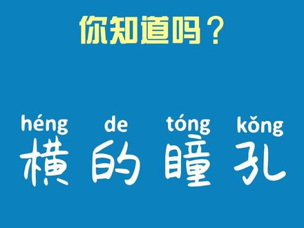 这眼睛多少有点像存钱罐了。
关注@喀斯玛商城,每周看点儿不一样的科学故事~
#科普 #动物 #瞳孔 #横瞳 #羊 #马 #食草动物 #眼睛 #成像
本视频发布是出于传递更多信息之目的。感谢原创者的付出,转载并不意味着本平台赞同其观点或证实其内容的真实性。
若有来源标注错误或侵犯了您的合法权益,请作者持权属证明与小编联系,我们将及时更正、删除,谢谢。
素材来源:网络;编辑:木;审核:陈述