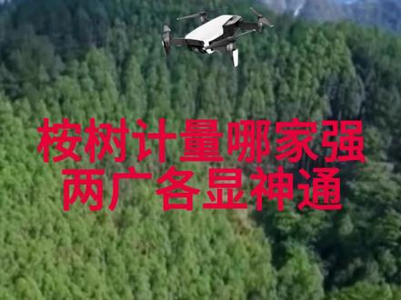 桉树计量方式哪一种更科学,两广(广东广西)方式各不同?#桉树 #桉树测量 #无人机航拍