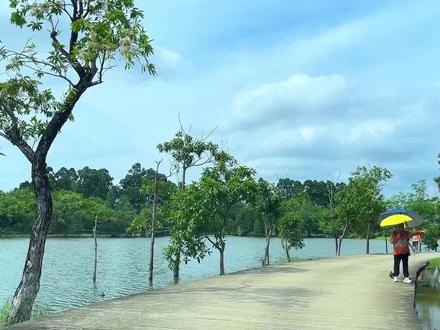 东莞最大最美的湖景,环湖骑行需3小时,休闲露营看日落的好去处 #深圳周边游 #旅行推荐官 #风景 #松湖烟雨