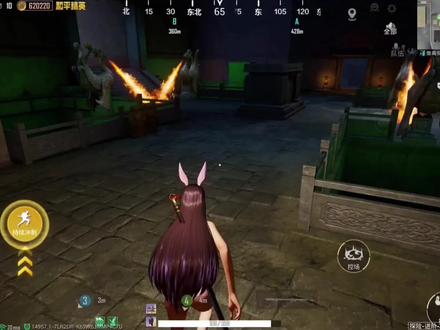 蝾螈小宝牌坐骑 #大吉大利和平年 #和平精英古墓迷途