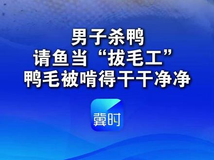 男子杀鸭请鱼当“拔毛工”鸭毛被啃得干干净净,网友:那我们四个人拔了一早晨算什么 #万万没想到
