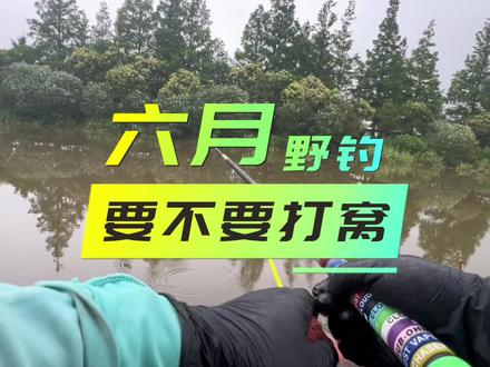 六月份台钓要不要打窝#钓鱼