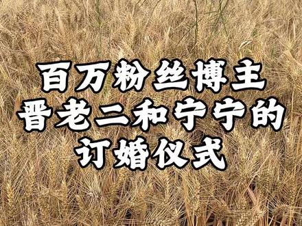 为抖音百万粉丝博主主持订婚宴什么感受 晋老二和宁宁的订婚仪式#真实生活分享计划 #周口婚礼主持人陶阳 #晋家五兄弟 #晋老二 #晋老二订婚