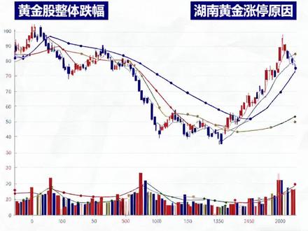 黄金股集体大跌!湖南黄金独涨停凭啥?#湖南黄金股票 #湖南黄金 #黄金行情分析 #财经金融 #黄金行情分析