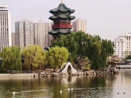 鸭子排队走路的原因:(资料显示)
1、节省体力。当前面的鸭子在水中游动时,后面会现成水波,水波会推动后面的鸭子省力前行,就像搭了顺风车。
2、鸭子是按等级标准走路的,最前面一只是雄性头鸭。或者是辈分高的在前,辈分小的在后。
3、鸭子有很强的“纪律性”
4、是一种习惯的保持。(不忘初心)
也有人认为: 在开阔的水域,鸭完全暴露于天敌的视线下。 处于危险之中时,如果分散,它们在起飞时遇到天敌时很容易相互撞撞,这不利于他们的生存。 如果他们排队,他们可以有序安全地应对紧急情况,在陆地上也是如此。
这是查到的我认为比较合理的解释,当然还有其他说法。
原因到底是什么,现在还说法不一。有待进一步考证。#静享时光的美好