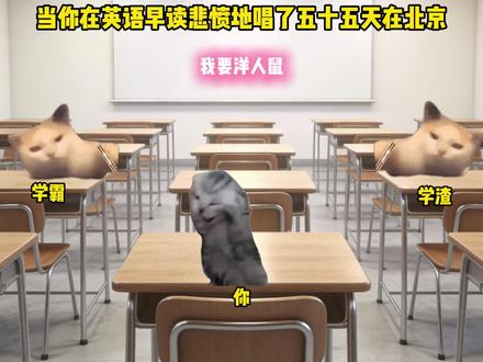当你在英语早读悲愤地唱了五十五天在北京 #猫meme #音乐 #五十五天在北京 #北洋乐队 #义和团 yc@罗大头