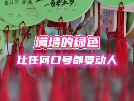 满墙的绿色 比任何口号都要动人#lp #开原寺 #平安健康