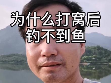 为什么打窝后,钓不到鱼,一般都是鱼被诱到窝点外了#钓鱼 #钓鱼人 #户外垂钓 #野钓 #抖音垂钓季