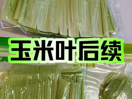 叶从去年来,惊了今年人#真实生活分享计划 #后续 #烘焙 #健康生活 #小妙招大作用