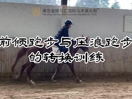 前倾跑步与压浪跑步的转换能够更好的训练骑手马背上的平衡性,马匹在跑动的过程中,对于骑手而言,能够有效地、灵活地转换,是比赛的关键。压浪到前倾流畅的转换,能够为障碍的跳跃起到很大的帮助。#马术俱乐部 #骑马 #马背上的少年 #日常训练 #让喜欢的事成为生活
