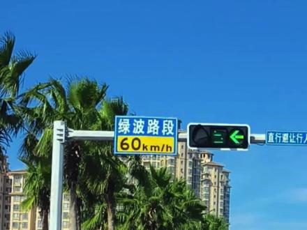 标牌“绿波路段”,不知道什么意思太亏了! #汽车 #每天一个用车知识 @抖音小助手