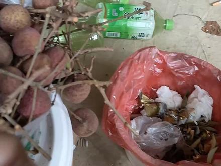 耶!昨晚梦见跟阎王猜码单挑,差点回不来。