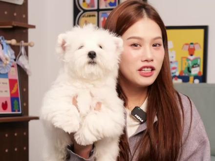 为什呢狗狗天生喜欢人类 #宠物知识 #宠物 #养狗日常