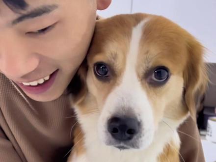 说我们是剧本?今天揭秘一下剧本是怎么拍出来的~ #瓜子二手车 #原创视频 #鸡蛋不是🥚 #狗狗的心思都写脸上了 #我和宠物日常