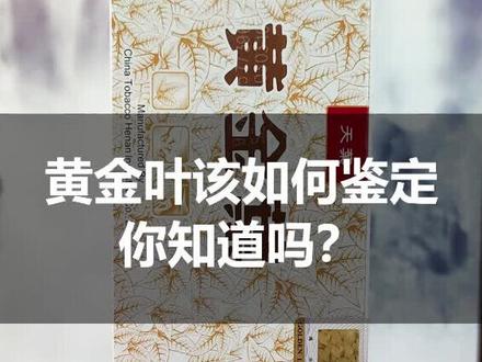 鉴定黄金叶看哪些地方,你知道吗?快过年了,还不快收藏起来。#烟 #正能量