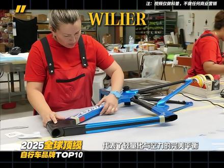 2025全球顶级自行车品牌排行榜TOP10 #自行车 #公路车 #竞技运动 #科普 #自行车品牌