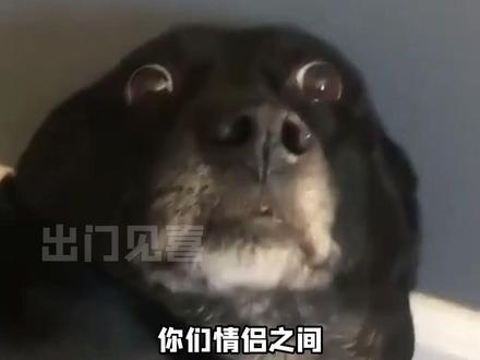 知道你们熟,没想到熟到这程度了#娱乐评论大赏 #万万想不到 #情侣