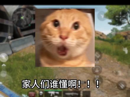 “三角洲的暗号到底有多少种?听完我直接裂开了”#三角洲行动 #三角洲 #跑刀