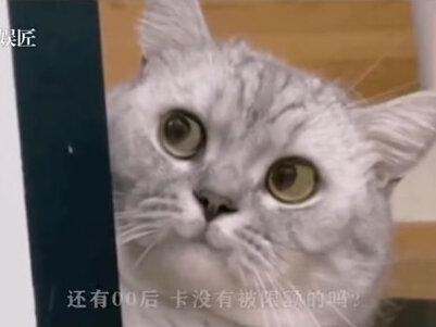 00后银行卡被全部限额,买个芒果还被银行盘问#00后 #搞笑 #评论区 #娱乐评论大赏 #只有00后受伤的世界达成了