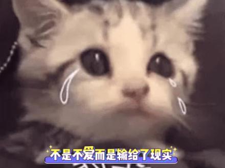 终究是逃不过现实#琅声雅集 #我是苏晨 #cp #克拉#分手