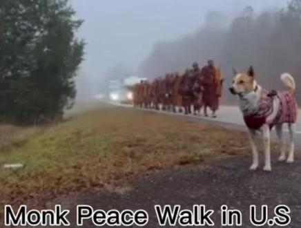 #热门话题 #美国 #正能量 #真实生活分享计划
这是一次为期120天、跨越2300英里(约3700公里)的朝圣之旅,旨在传播和平与慈悲的理念